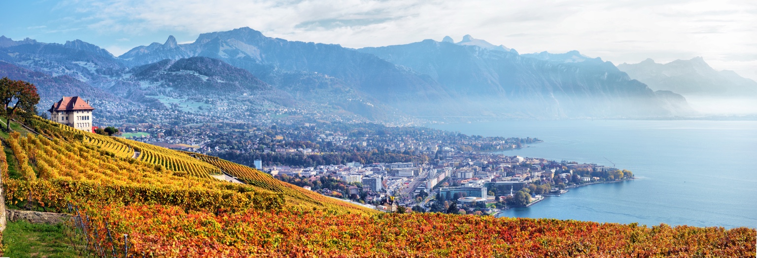 Vue du Lavaux, du lac Léman et des Alpes